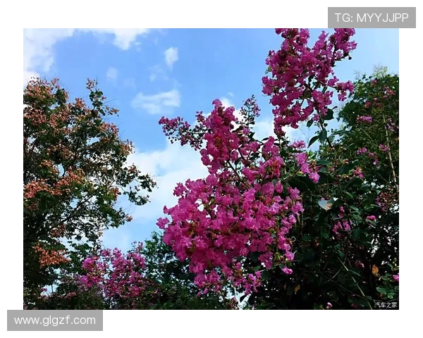 网球运动发展历程及技术演变分析：从传统打法到现代科技应用的全面探讨