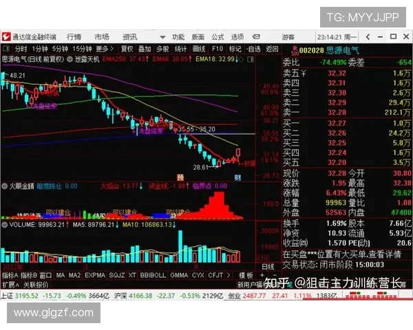 成都排球队在大满贯赛事中的速度表现分析与点评