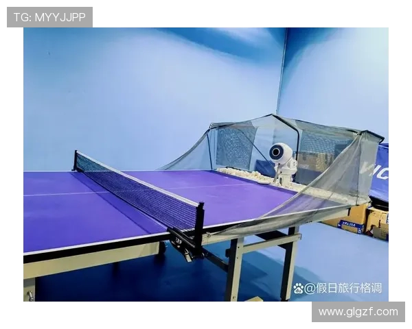 陈丽独家分享乒乓球技巧与心得助你提升球技的秘诀与经验总结